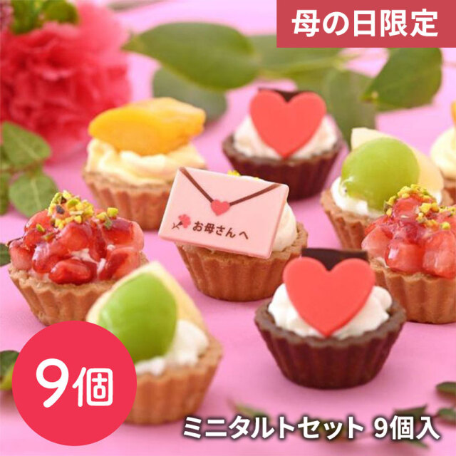 ミニタルトセット 9個入