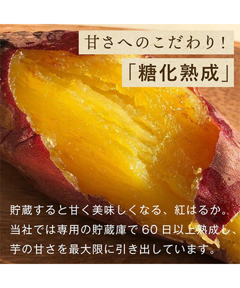 食べ比べセット