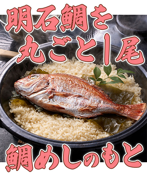 兵庫 天然明石鯛使用 鯛めしのもと