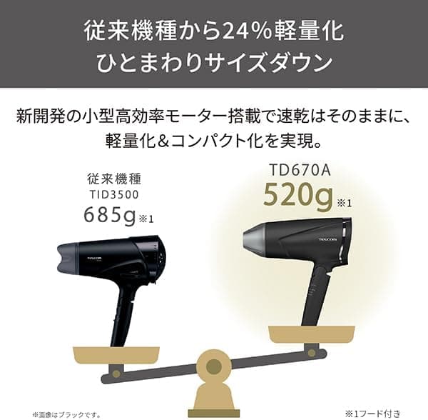 テスコム プロテクトイオンヘアードライヤー TD670A