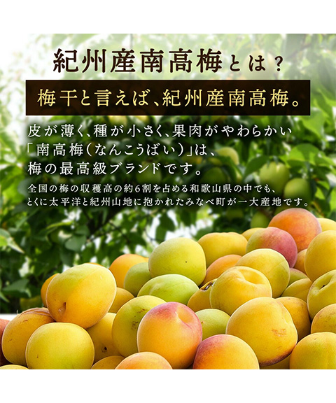 梅ギフト