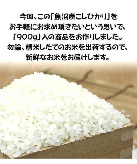 魚沼産コシヒカリ