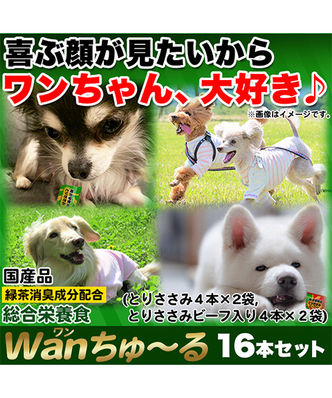 Wanちゅ~る
