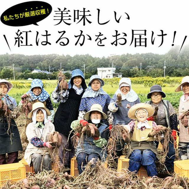 茨城県産 紅はるか 冷凍焼き芋 2.0kg(500g×4袋)