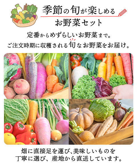 野菜セット