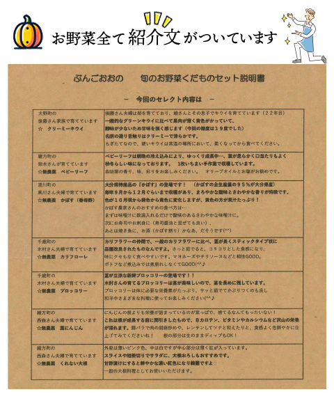 野菜セット