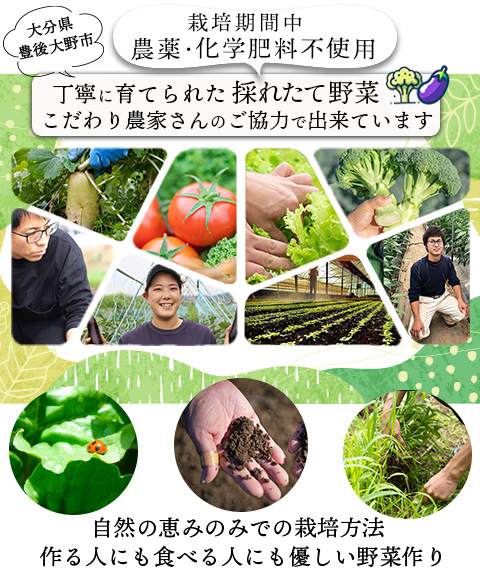 野菜セット