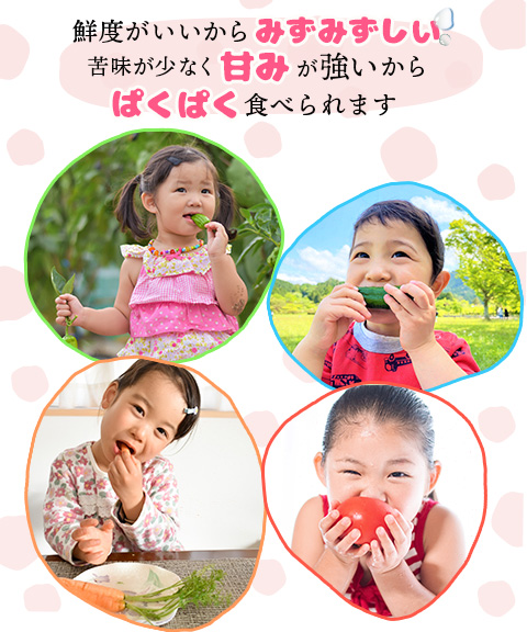 野菜セット