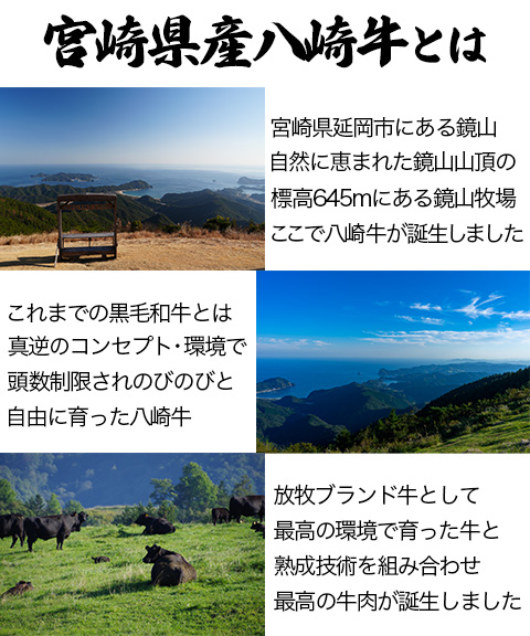 宮崎県産八崎牛 おまかせ希少部位6種盛り 焼肉セット