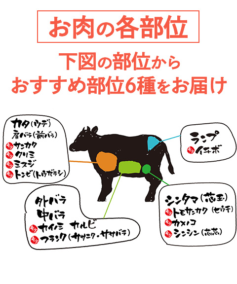 宮崎県産八崎牛 おまかせ希少部位6種盛り 焼肉セット