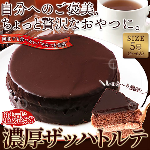 【送料無料】魅惑のザッハトルテ チョコレートケーキ チョコケーキ ケーキ