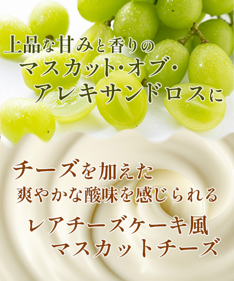 岡山 クロワッサン鯛焼き 3種ギフトセット