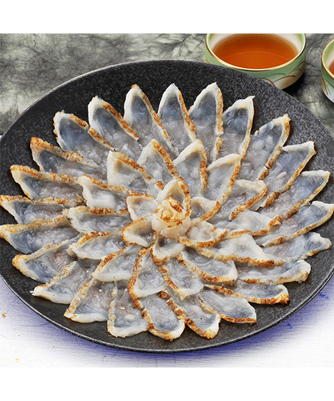 福岡 「ふく太郎本部」 山口県萩産活〆 まふく炙り刺身