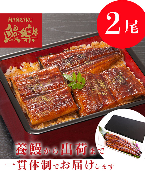送料無料】宮崎「鰻楽」 九州産 うなぎ蒲焼 2尾(280g) memart