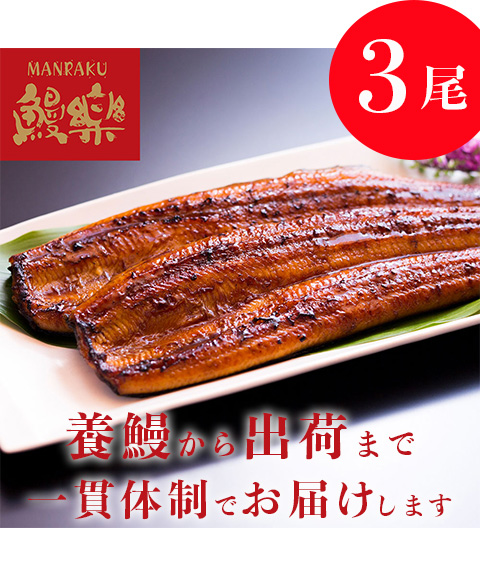 宮崎「鰻楽」九州産うなぎ蒲焼 3尾 (計420g)