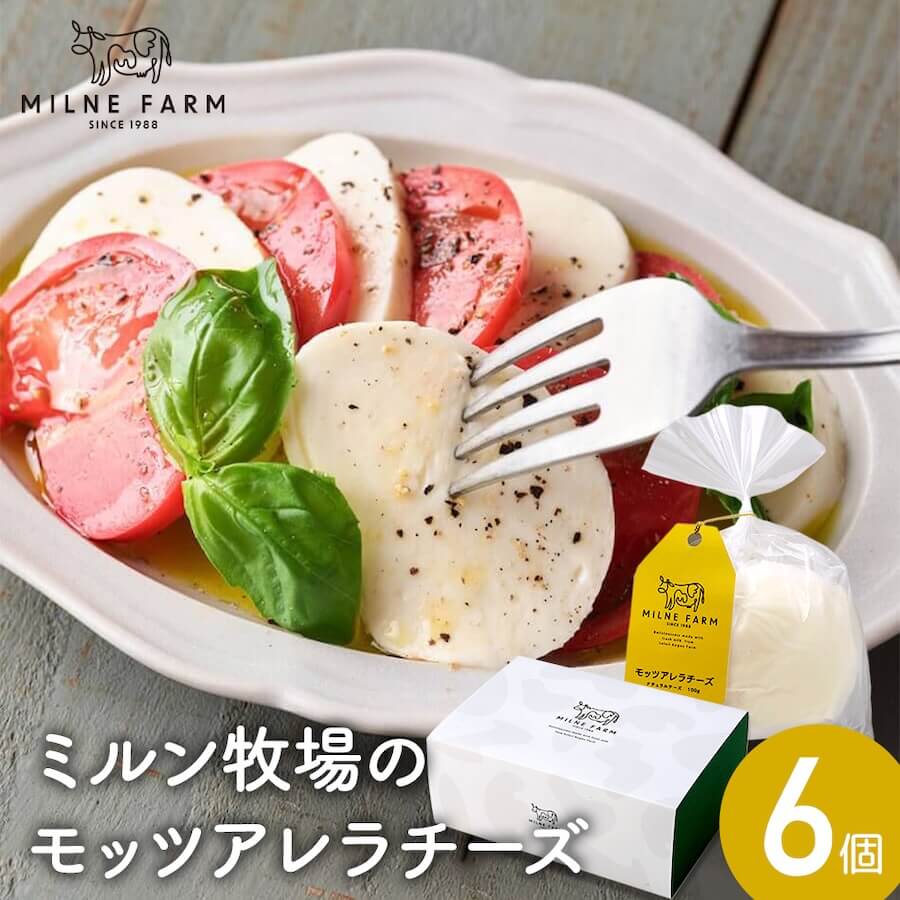 モッツァレラチーズ（フレッシュ）100g 6個セット
