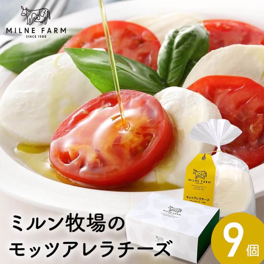 モッツァレラチーズ（フレッシュ）100g 9個セット