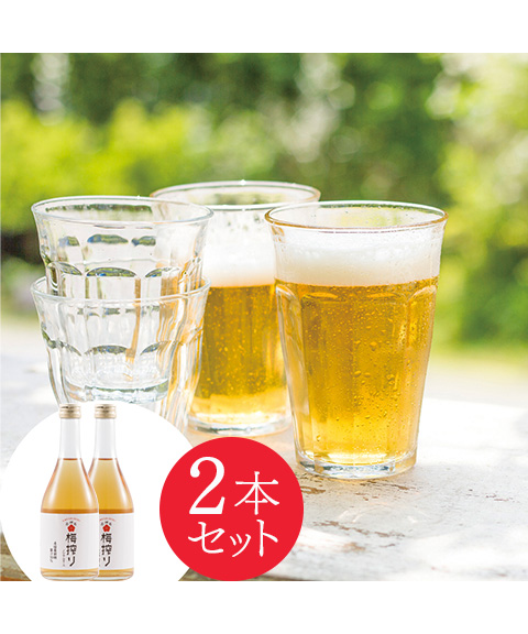 和歌山 梅搾り (4倍希釈) 2本セット 490ml×2 化粧箱入り