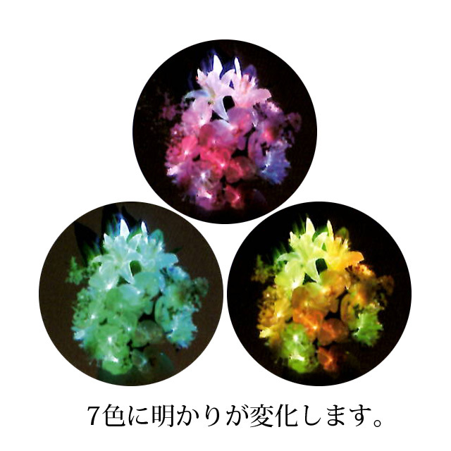 23860グランドルミナス花だより２