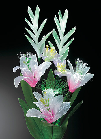 グラジオラスNo2 点灯