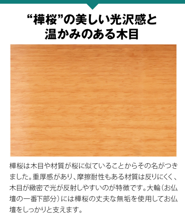 クーペ 桜
