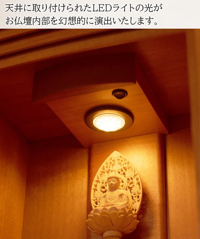 クーペ 桜
