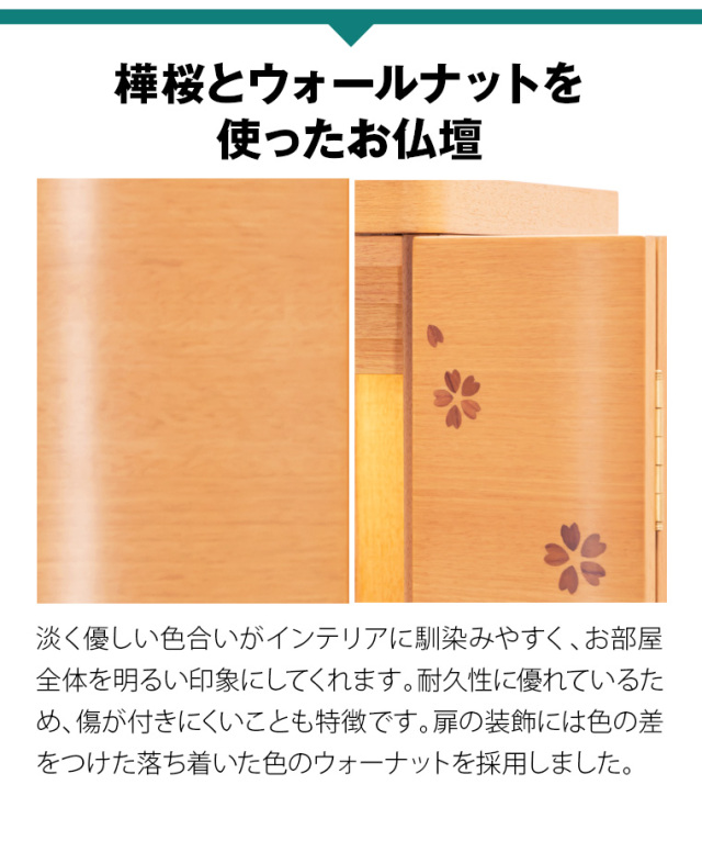 ソナタ 桜 15×40号