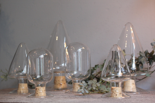 ガラスのシードボトル　