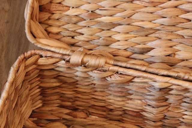 ウォーターヒヤシンス　トランク　詳細