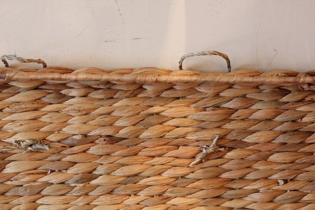 ウォーターヒヤシンス　トランク　詳細