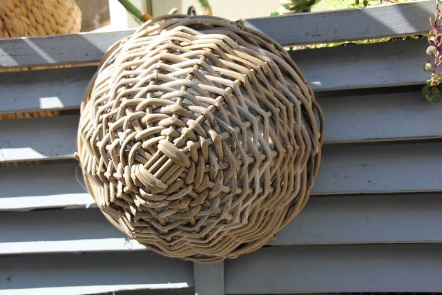 かご・バスケット・雑貨 - menui | 太い蔓の吊りかご 【コブラタン