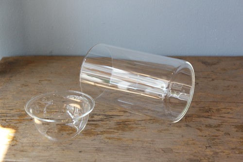 ガラスの水栽培フラワーベース