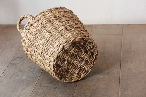 ホグラバケツバスケット