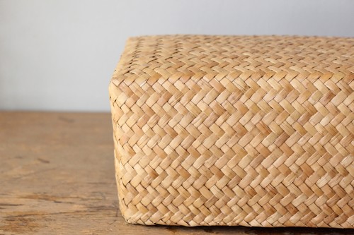 カチュー水草ボックストレーバスケット