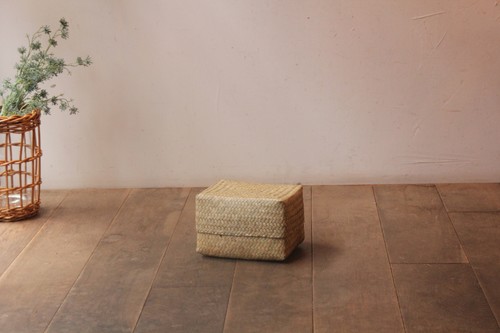 カチュー水草ボックス収納バスケット