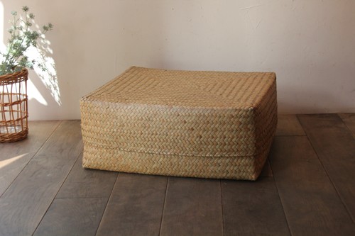 【ピコさん専用】アナカリス 水草 中型 大束 ピコさん専用】アナカリス 水草 中型 大束