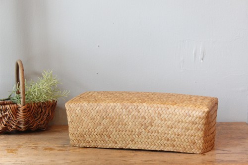 カチュー水草ボックストレーバスケット