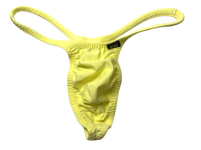 BODYWEAR メンズビキニ ナイロンマイクロ2way シャープ Tバック