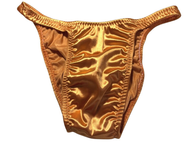 ジャグウェア ブラジルカット ゴールデンロッド サテン ポージングスーツ bcs239