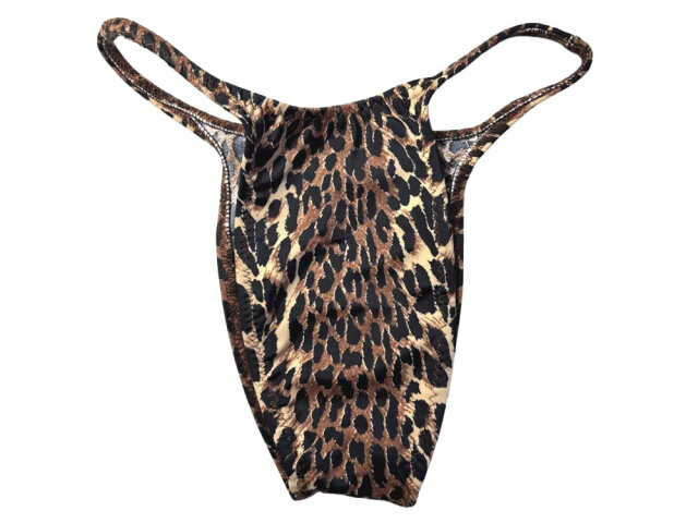 ジャグウェア プレミアRIO ヒョウ柄 ポージングスーツ pran02