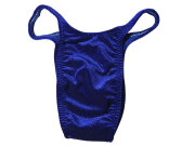 ジャグウェア  プレミアRIO 　ロイヤルティール　ベルベットダスト  ポージングスーツ　prveld01