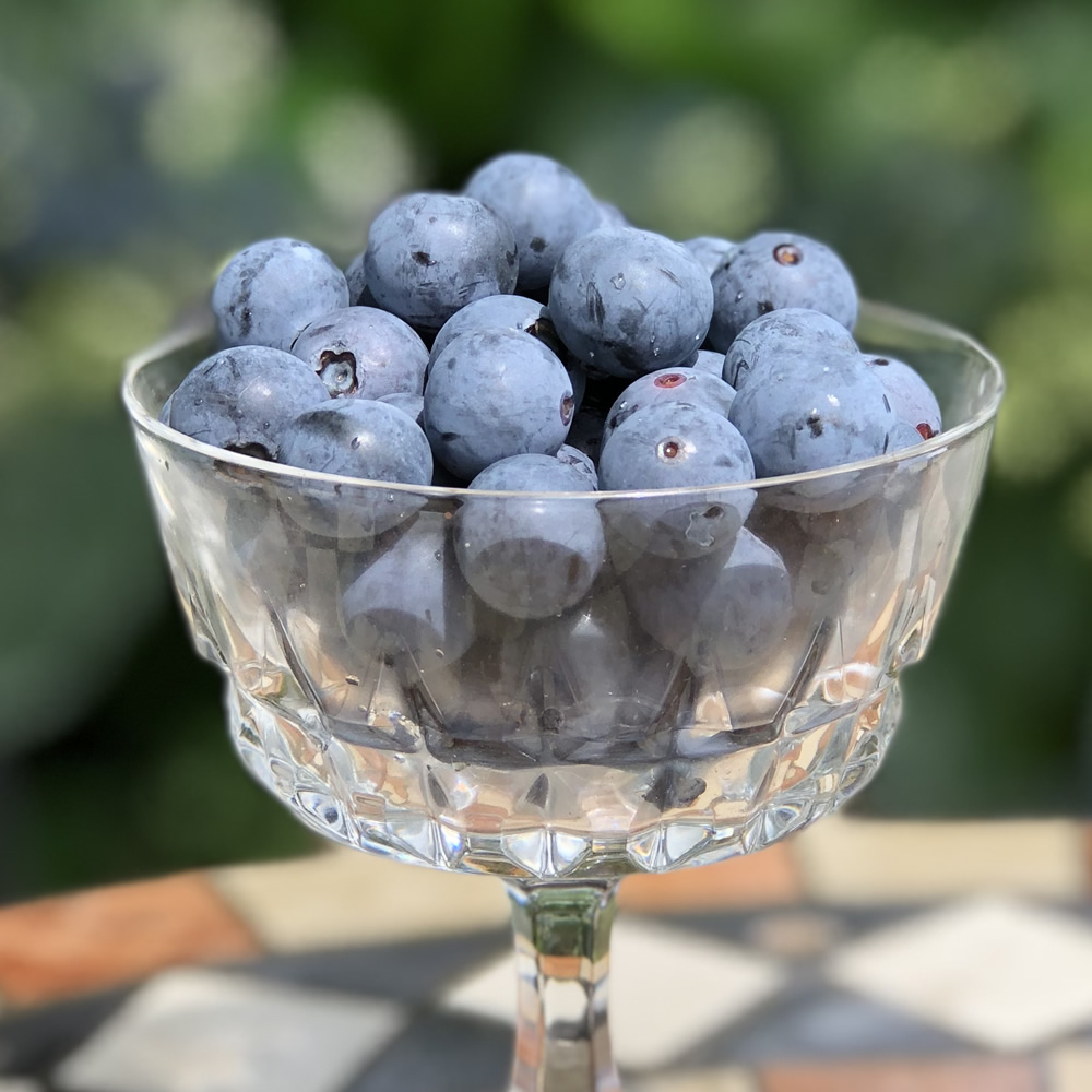 有機生ブルーベリー