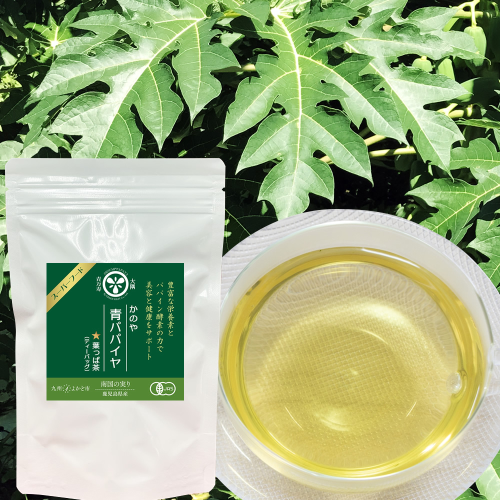 青パパイヤ 葉っぱ茶