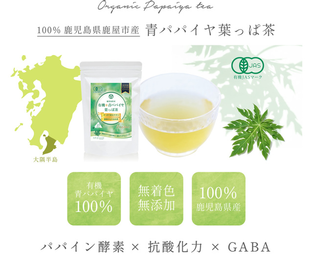 【定期コース】かのや有機青パパイヤ 葉っぱ茶 2gティーバッグ