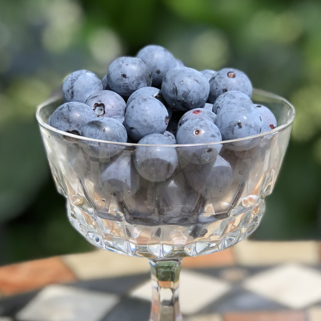 有機生ブルーベリー