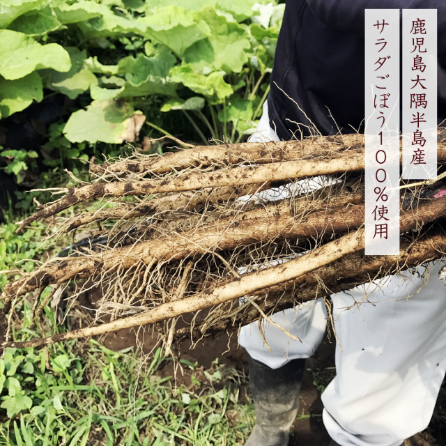 焙煎ごぼう茶