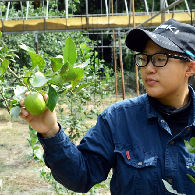 グリーンレモン