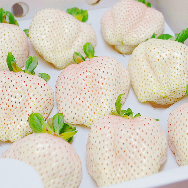 天使の実プレミアム