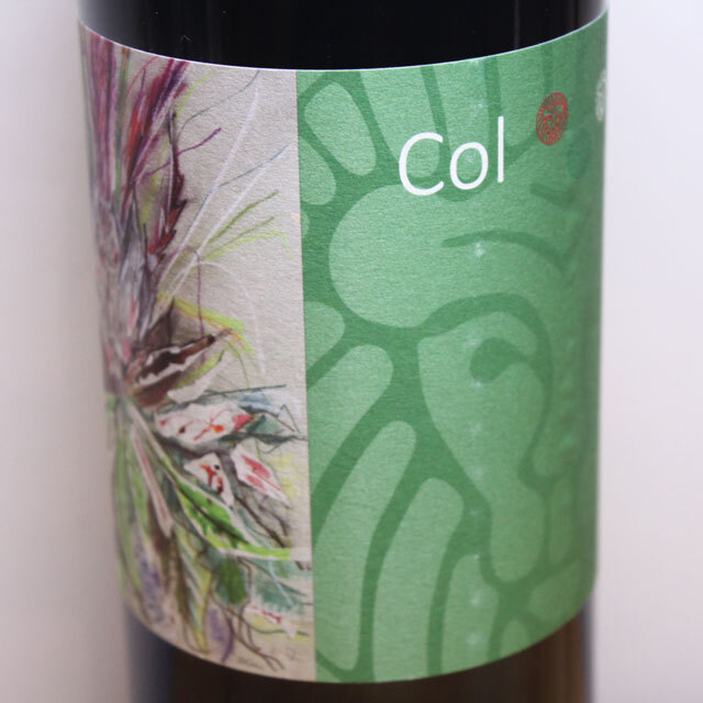 サンタ・マリーア　ロッソ　トスカーナ