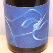 トマ・ピュエシャヴィ　レ・ヴリーユ